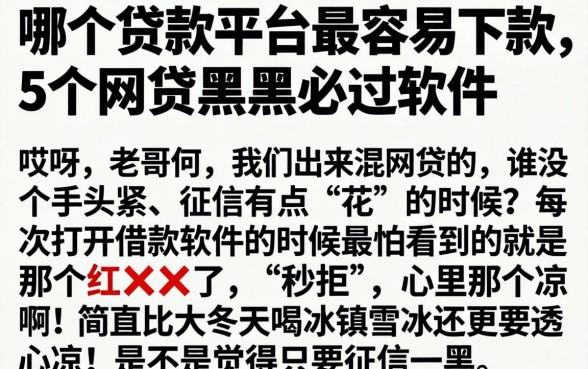 哪个贷款平台最容易下款,详尽说明5个网贷黑户必过软件