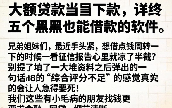 大额贷款当天下款，详尽说明五个黑户也能借款的软件