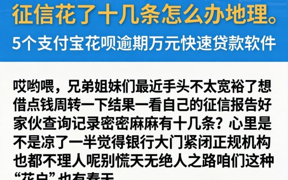 征信花了十几条怎么办理,详细阐述5个支付宝花呗逾期万元快速贷款软件