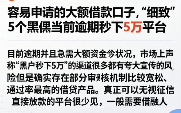 容易申请的大额借款口子，细致阐述5个黑户当前逾期秒下5万平台