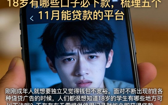 18岁有哪些口子必下款,梳理五个11月能贷款的平台