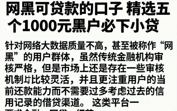 网黑可贷款的口子，精选五个1000元黑户必下小贷