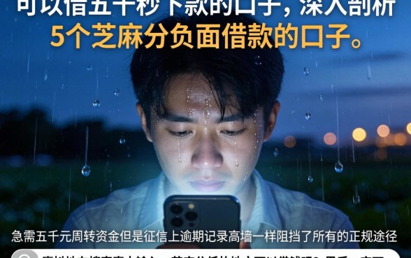 可以借五千秒下款的口子，深入剖析5个芝麻分负面借款的口子