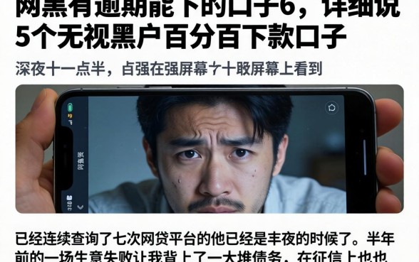 网黑有逾期能下的口子6，详尽说明5个无视黑户百分百下款口子