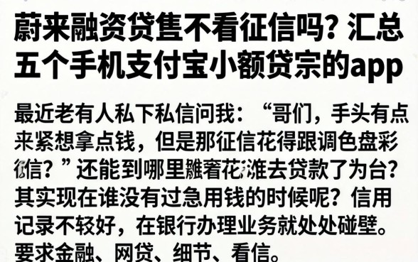 蔚来融资租赁不看征信吗，汇总五个手机支付宝小额贷款的app