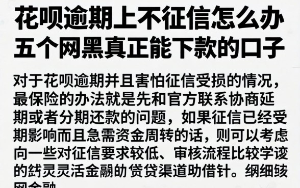 花呗逾期上不征信怎么办，详尽说明五个网黑真正能下款的口子