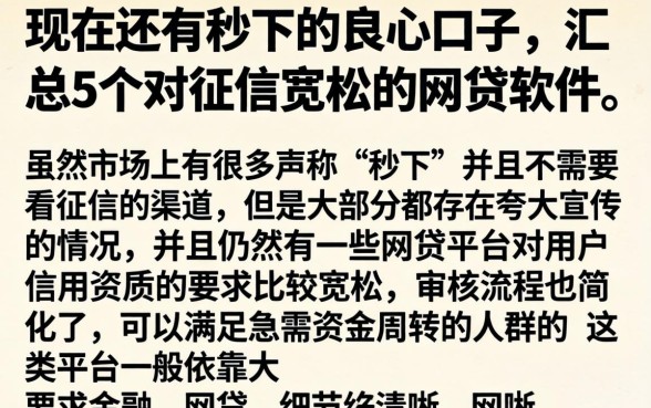 现在还有秒下的良心口子,汇总5个对征信宽松的网贷软件