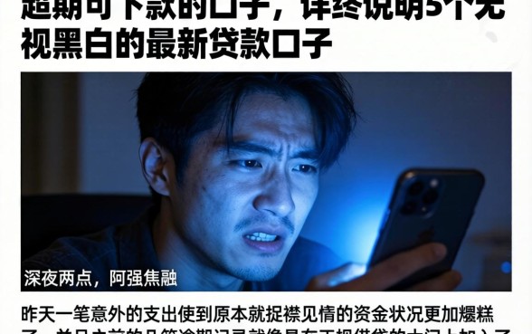 超期可下款的口子，详尽说明5个无视黑白的最新贷款口子