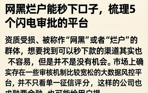 网黑烂户能秒下口子，梳理5个闪电审批的平台
