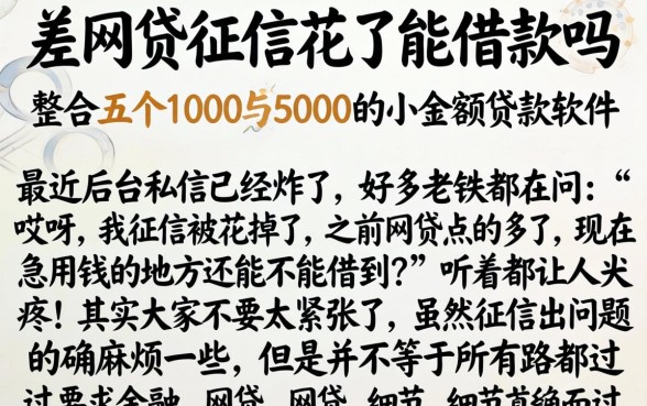 差网贷征信花了能借款吗，整合五个1000至5000的小额贷款软件