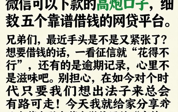 微信可以下款的高炮口子，细致阐述五个靠谱借钱的网贷平台