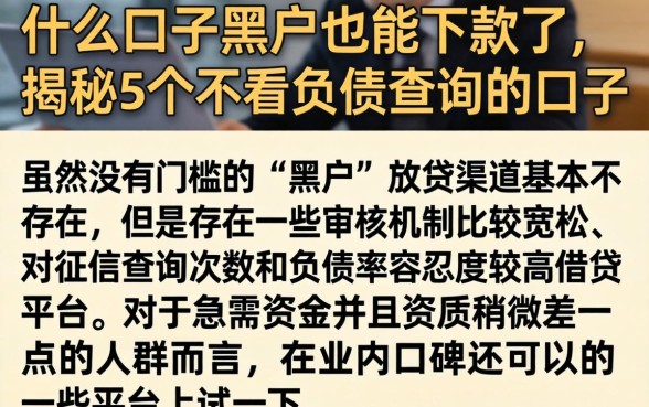 什么口子黑户也能下款了，揭秘5个不看负债查询的口子