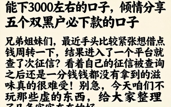 能下3000左右的口子,倾情分享五个双黑户必下款的口子