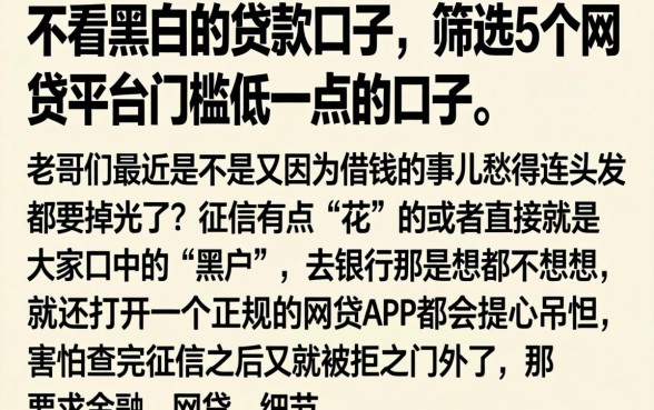 不看黑白的贷款口子，筛选5个网贷平台门槛低一点的口子
