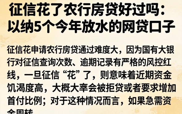 征信花了农行房贷好过吗,归纳5个今年放水的网贷口子