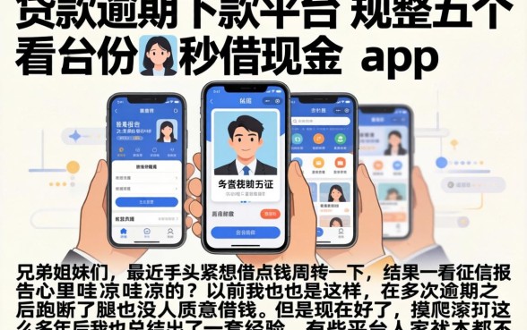 贷款逾期下款平台，规整五个手机身份证秒借现金的app
