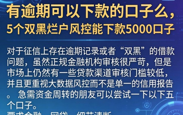 有逾期可以下款的口子么，概括5个双黑烂户风控能下款5000口子