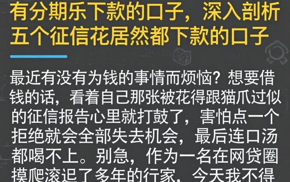 有分期乐下款的口子，深入剖析五个征信花居然都下款的口子