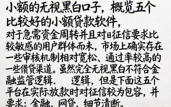 小额的无视黑白口子,概览五个比较好的小额贷款软件