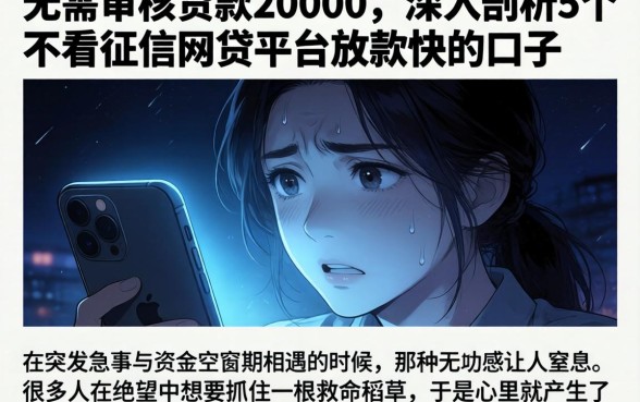 无需审核贷款20000,深入剖析5个不看征信网贷平台放款快的口子