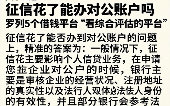征信花了能办对公账户吗，罗列5个借钱平台不看综合评估的平台