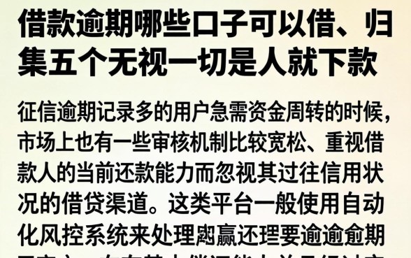 借款逾期哪些口子可以借,归集五个无视一切是人就下款