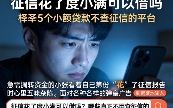 征信花了度小满可以借吗，枚举5个小额贷款不查征信的平台