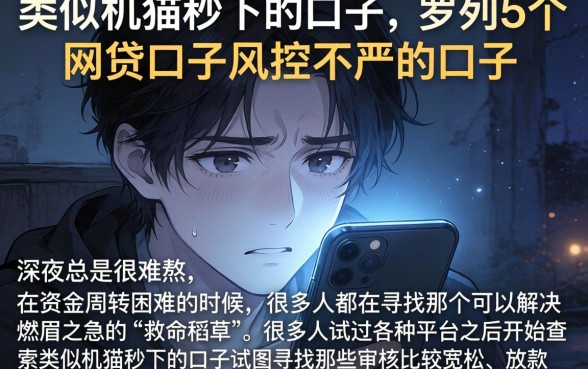 类似机猫秒下的口子，罗列5个网贷口子风控不严的口子