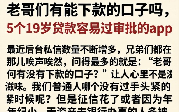 老哥们有能下款的口子吗，概括5个19岁贷款容易过审批的app