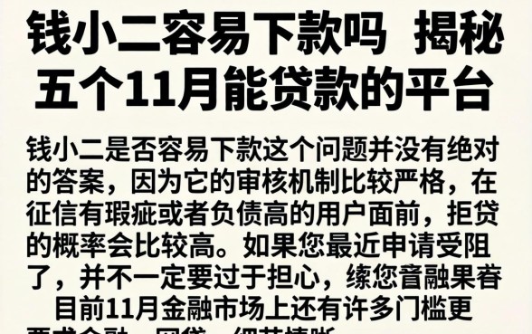 钱小二容易下款吗，揭秘五个11月能贷款的平台
