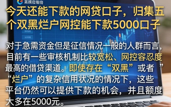 今天还能下款的网贷口子，归集五个双黑烂户风控能下款5000口子
