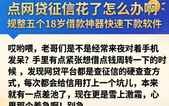 点网贷征信花了怎么办啊，规整五个18岁借款神器快速下款软件