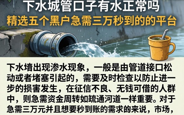 下水道的口子有水正常吗，精选五个黑户急需三万秒到的的平台