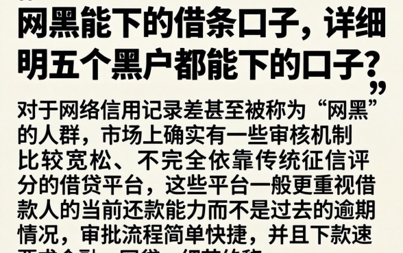 网黑能下的借条口子，详尽说明五个黑户都能下的口子