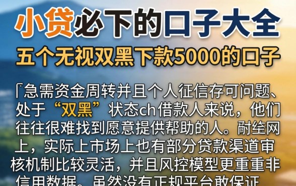 小贷必下的口子大全，详细阐述五个无视双黑下款5000的口子