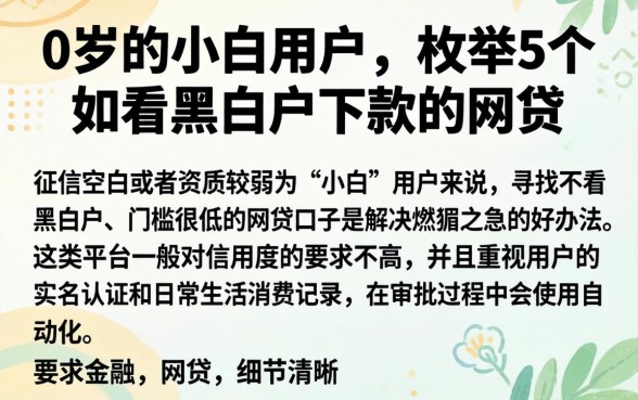 0岁的小白用户，枚举5个不看黑白户下款的网贷