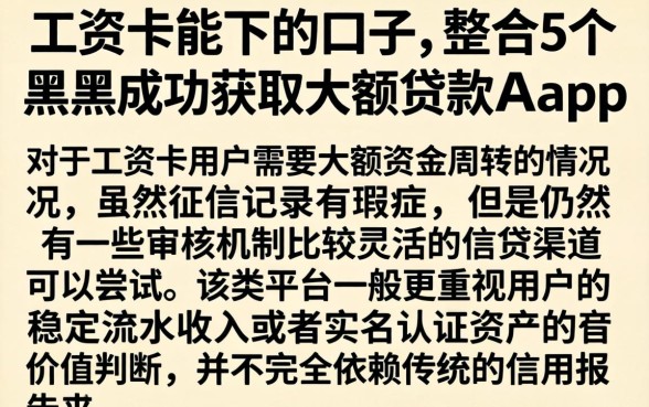 工资卡能下的口子，整合5个黑户成功获取大额贷款的app