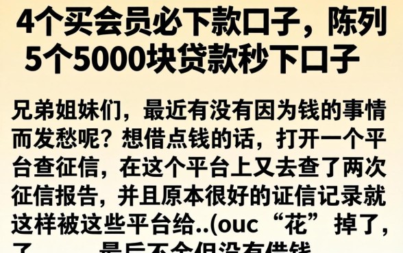 4个买会员必下款的口子，陈列5个5000块贷款秒下口子