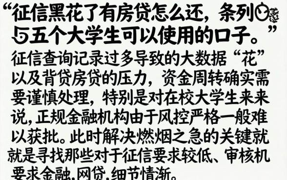 征信黑花了有房贷怎么还,条列五个大学生可以使用的口子