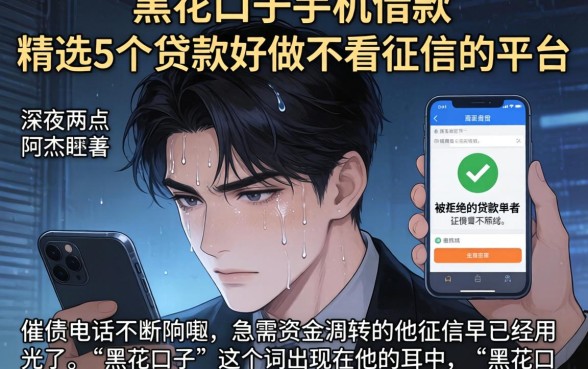 黑花口子手机借款，精选5个贷款好做不看征信的平台