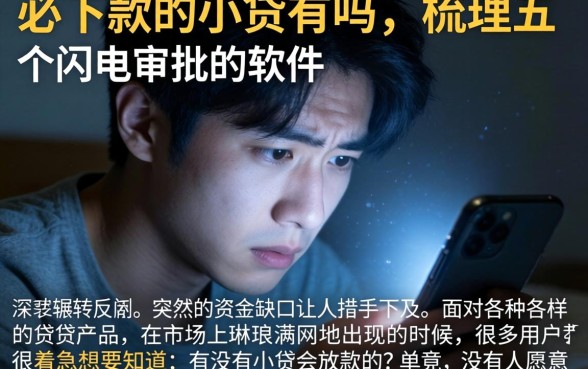 必下款的小贷有吗，梳理五个闪电审批的软件