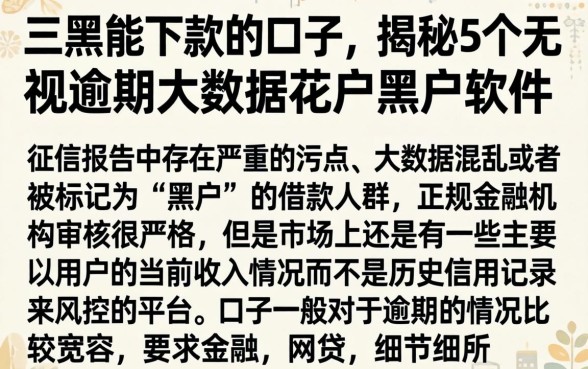 三黑能下款的口子，揭秘5个无视逾期大数据花户黑户软件