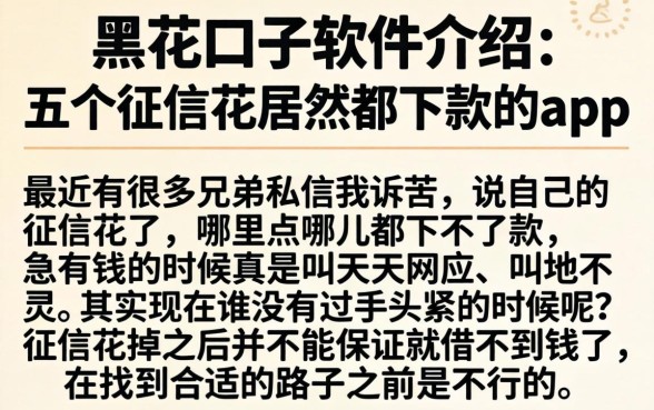 黑花口子软件介绍，理出五个征信花居然都下款的app