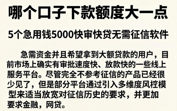 哪个口子下款额度大一点，详尽说明5个急用钱5000快审快贷无需征信软件