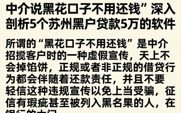 中介说黑花口子不用还钱，深入剖析5个苏州黑户贷款5万的软件