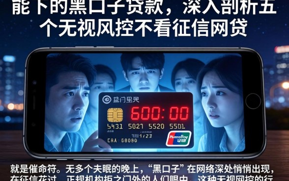 能下的黑口子贷款，深入剖析五个无视风控不看征信的网贷