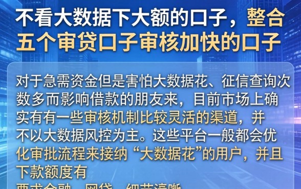 不看大数据下大额的口子,整合五个审贷口子审核加快的口子