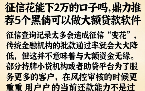 征信花能下2万的口子吗，鼎力推荐5个黑户可以做大额贷款软件