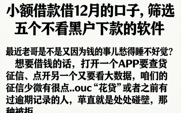 小额借款借12月的口子，筛选五个不看黑户下款的软件