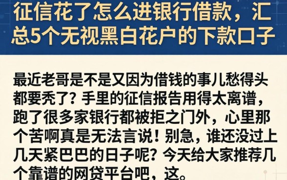 征信花了怎么进银行借款,汇总5个无视黑白花户的下款口子